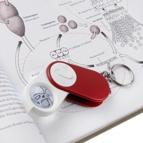 Лупа Veber 1062 (10х, 25мм, брелок) - фото 4