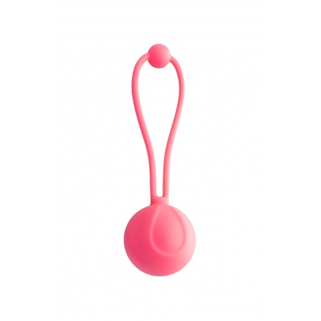 Набор вагинальных шариков L'EROINA by TOYFA Bloom, силикон, фиолетово-розовый, ? 3,1/3,1/2,6-3 см - фото 3