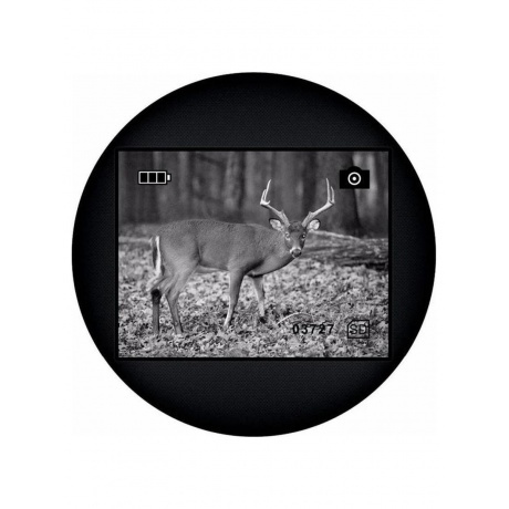 Монокуляр ночного видения Levenhuk Atom Digital DNM100 - фото 12