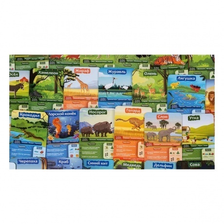 Настольная игра GaGa 10 вопросов. Животные арт.GG431 - фото 3