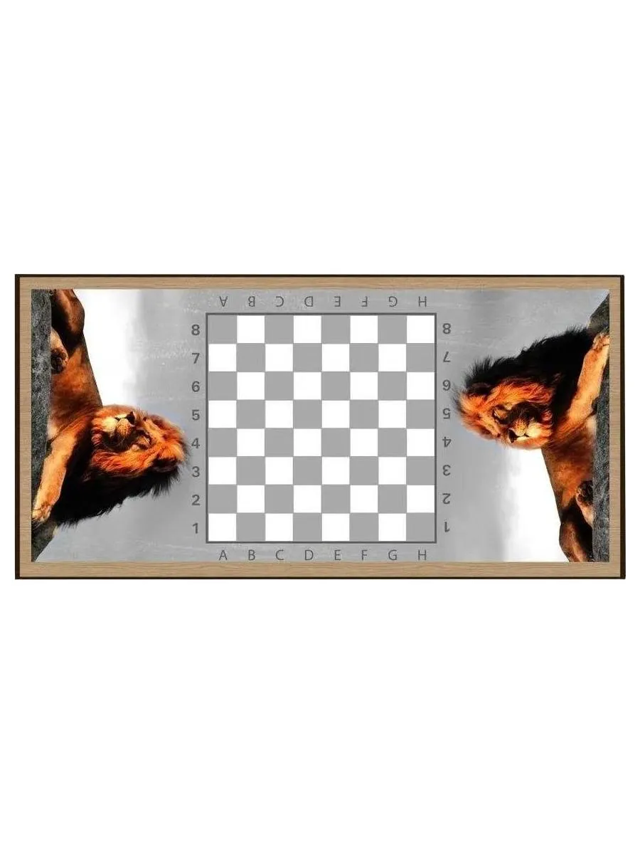 Нарды + Шашки "Сирия Лев в Саванне" большие - фото 3