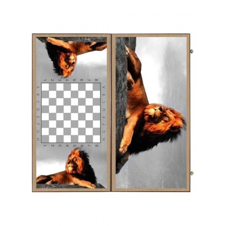 Нарды + Шашки "Сирия Лев в Саванне" большие - фото 4