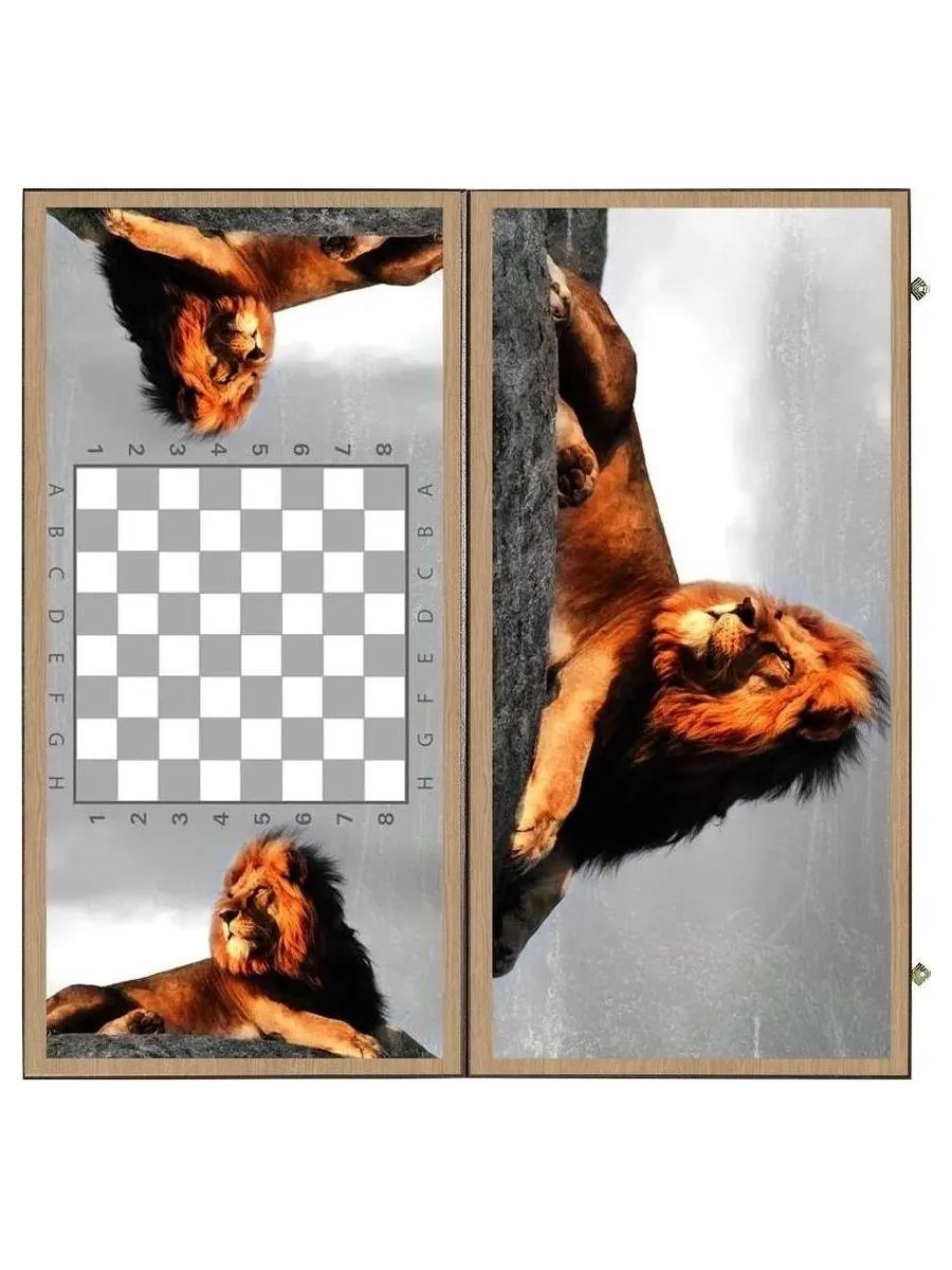 Нарды + Шашки "Сирия Лев в Саванне" большие - фото 4