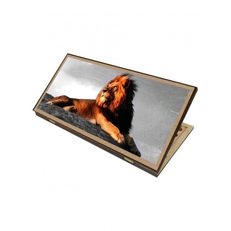 Нарды + Шашки "Сирия Лев в Саванне" средние - фото 1