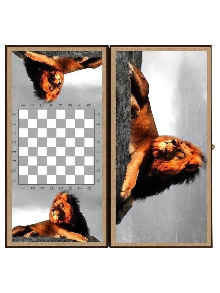 Нарды + Шашки "Сирия Лев в Саванне" средние - фото 4