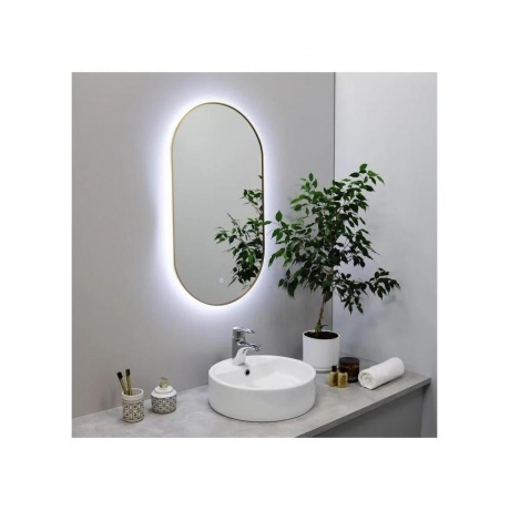 Зеркало FIXSEN с подсветкой LED овальное 50х120 см золото-сатин ...