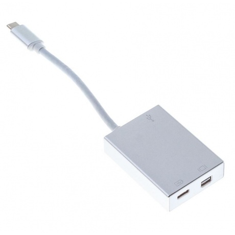 Адаптер Buro BHP USB Type-C (m) USB Type-C (f) miniDisplayPort (f) 0.1м серебристый - фото 1