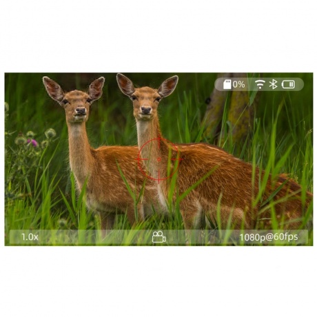 Прицел цифровой Veber DigitalHunt R44X6-48 ночной - фото 9