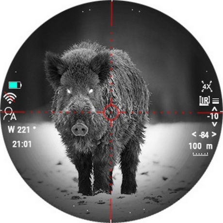 Прицел цифровой Veber Rapid PD-S450CL ночной - фото 14