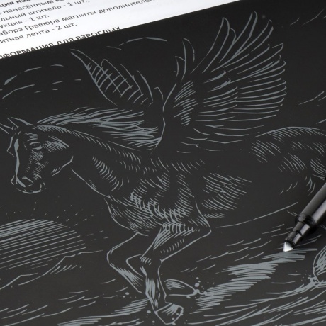 Гравюра "Пегас" с голографическим эффектом - фото 3