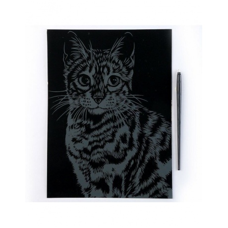 Гравюра большая "Бенгал" с эффектом золота - фото 7