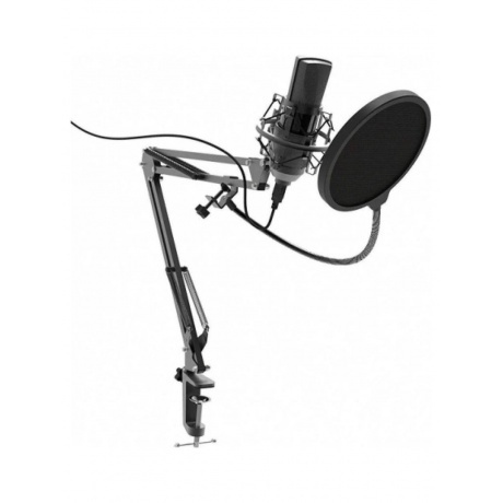 Микрофон RITMIX RDM-180 черный - фото 1