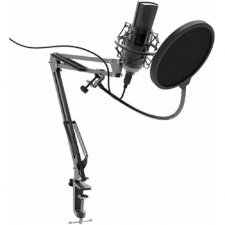Микрофон RITMIX RDM-180 черный
