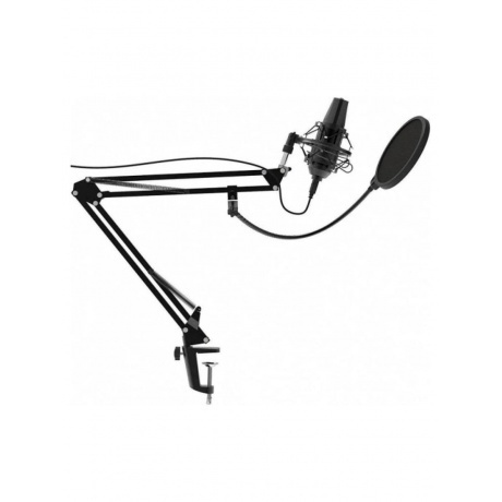 Микрофон RITMIX RDM-180 черный - фото 2