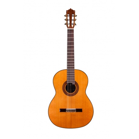 Гитара классическая Martinez MC-88C - фото 1