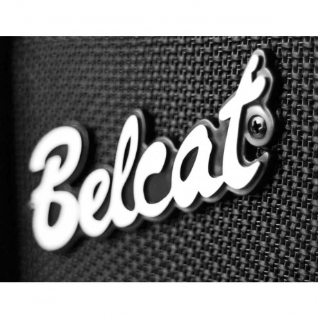 Басовый комбоусилитель Belcat 35B 35Вт - фото 6