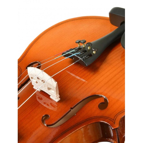 Скрипка ANTONIO LAVAZZA VL-28L 4/4 КОМПЛЕКТ кейс + смычок + канифоль - фото 7