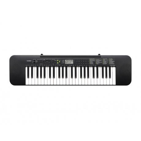 Синтезатор CASIO CTK-240 чёрный 49 клавиш без адаптера AD-E95100LG - фото 1