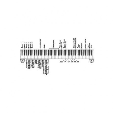 Цифровое пианино Orla 438PIA0709 Stage Starter со стойкой черное - фото 3