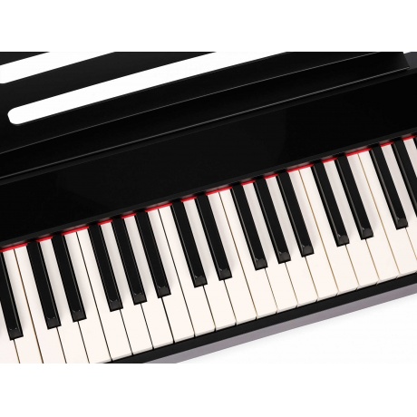 Цифровое пианино Nux Cherub NPK-10-BK черное - фото 3