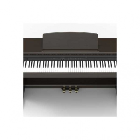 Цифровое пианино Orla CDP-101-POLISHED-BLACK черное полированное - фото 4