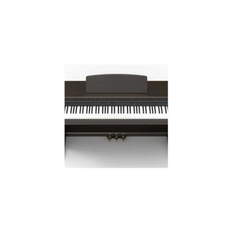 Цифровое пианино Orla CDP-101-ROSEWOOD палисандр чёрный - фото 2