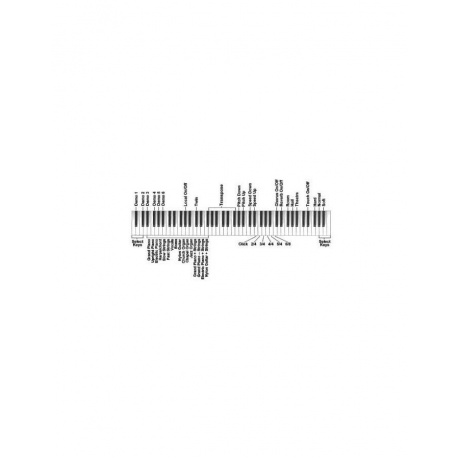 Цифровое пианино Orla Stage-Starter-Black-Satin  черное со стойкой - фото 4