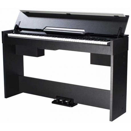 Цифровое пианино Medeli CDP5000 чёрный - фото 1
