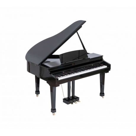 Цифровой рояль Orla 438PIA0631 Grand 500 с автоаккомпанементом черный - фото 1