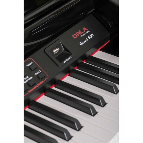 Цифровой рояль Orla 438PIA0631 Grand 500 с автоаккомпанементом черный - фото 3