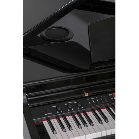 Цифровой рояль Orla 438PIA0631 Grand 500 с автоаккомпанементом черный - фото 5