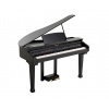 Цифровой рояль Orla 438PIA0634 Grand 120 с автоаккомпанементом ч...