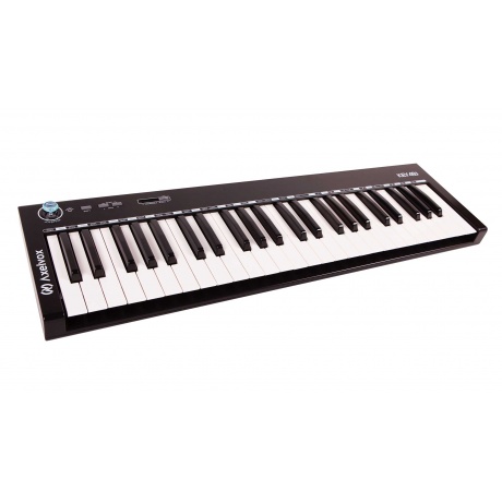 Клавиатура MIDI Axelvox KEY49j Black 49 клавиш черный - фото 3