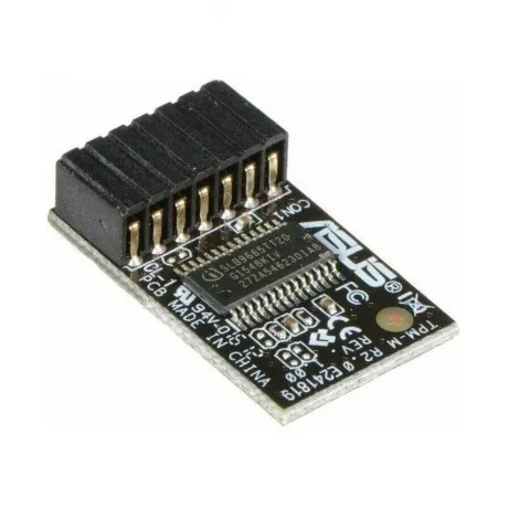 Модуль Asus TPM-M R2.0 OEM (90MC03W0-M0XBN1)