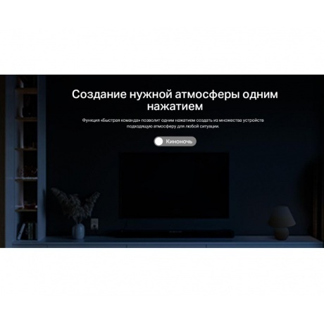 Умная мини Wi-Fi розетка TP-Link Tapo P110 - фото 26
