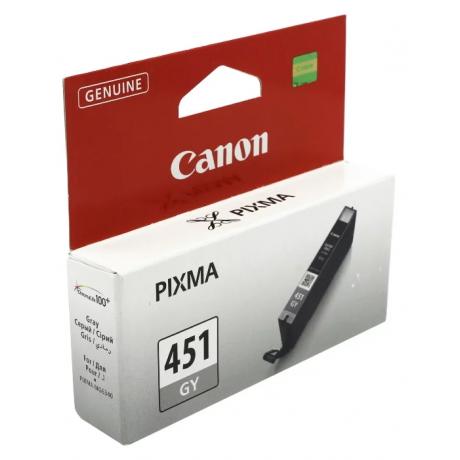 Картридж Canon CLI-451GY (6527B001) для Canon Pixma MG6340, серый - фото 1