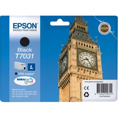 Картридж струйный Epson T7031 (C13T70314010) Black