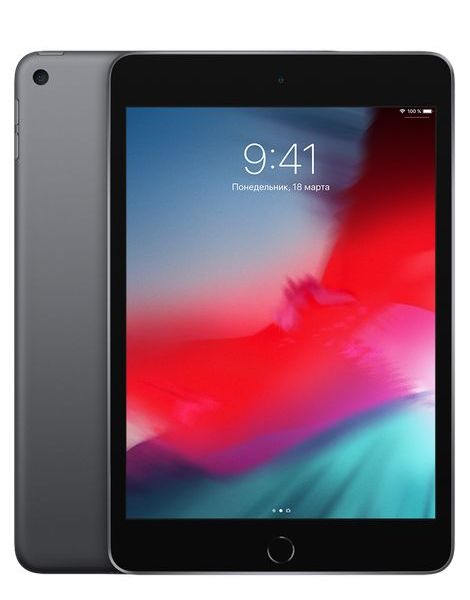 Планшет Apple iPad mini (2019) 256Gb Wi-Fi Space Grey, размер 256 Гб, цвет серый MUU32RU/A - фото 1