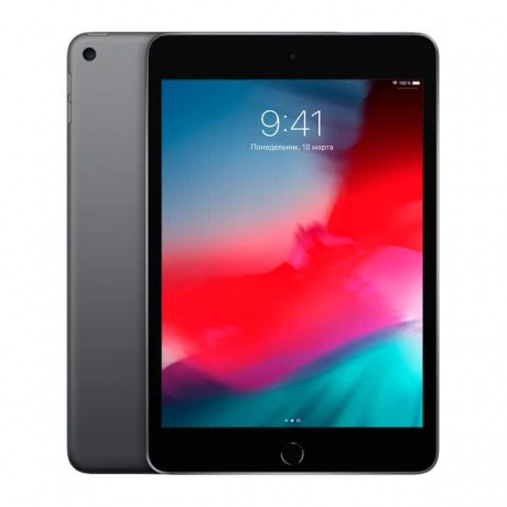 Планшет Apple iPad mini (2019) 256Gb Wi-Fi + Cellular Space Grey - фото 1