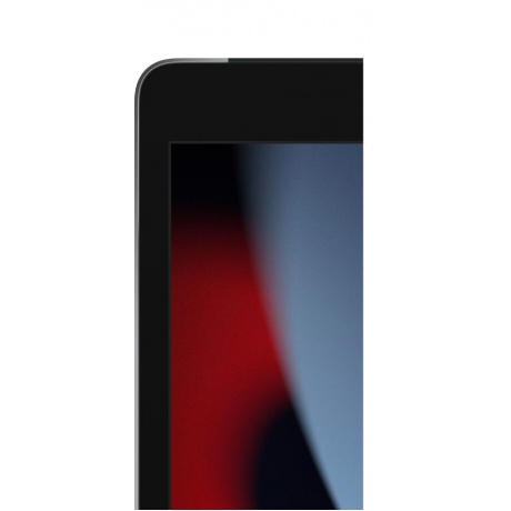 Планшет Apple iPad 2021 A2604 256Gb Wi-Fi + Cellular (MK4E3ZP/A) серый космос - фото 4