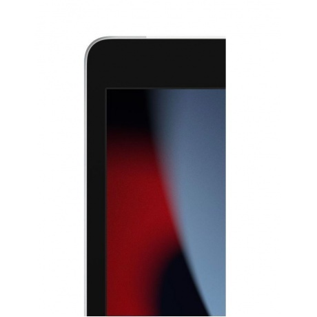 Планшет Apple iPad 2021 A2604 256Gb Wi-Fi + Cellular (MK4H3ZP/A) серебристый - фото 5