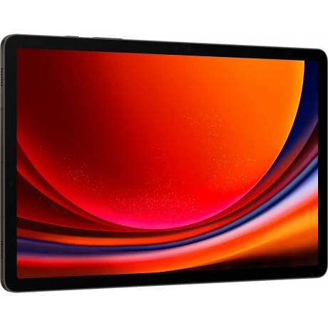 Планшет Samsung Galaxy Tab S9 8/128Gb WIFI Gray SM-X710NZAACAU - фото 4