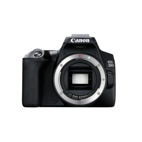 Зеркальный фотоаппарат Canon EOS 250D kit 18-55 IS STM Black - фото 3