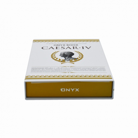 Электронная книга ONYX BOOX CAESAR 4 черная - фото 8