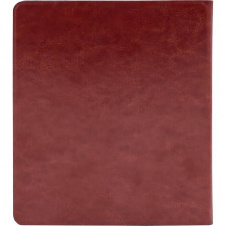 Электронная книга Onyx Boox Galileo 3 White - фото 6