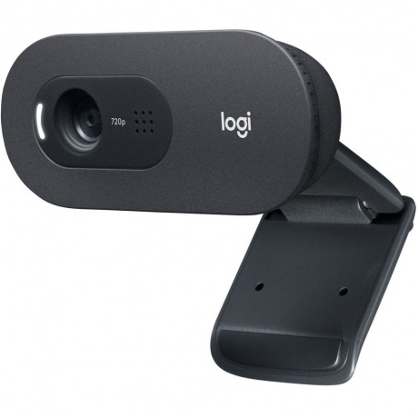 Веб-камера Logitech C505e - фото 1