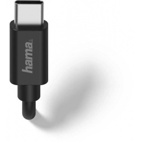 Сетевое зарядное устройство Hama H-183240 2.4A кабель USB Type C черный (00183240) - фото 3