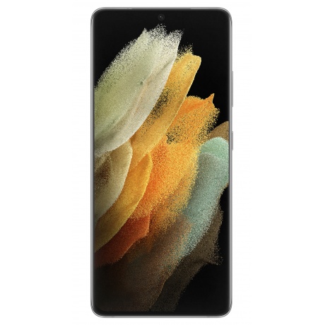 Смартфон Samsung Galaxy S21 Ultra G988 12/512Gb Серебряный Фантом - фото 2