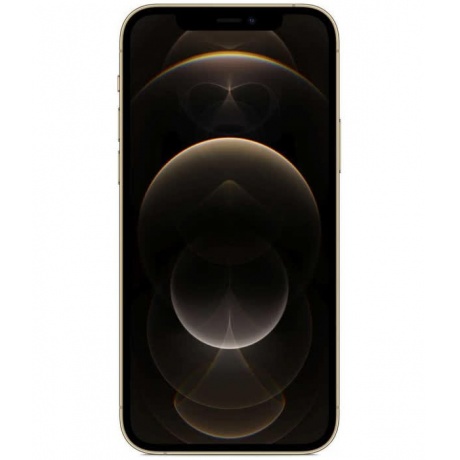 Смартфон Apple iPhone 12 Pro Max 128Gb (MGD93RU/A) Gold - фото 2