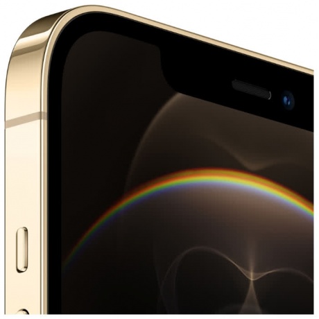 Смартфон Apple iPhone 12 Pro Max 128Gb (MGD93RU/A) Gold - фото 4